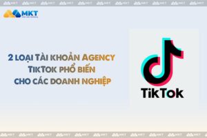 2 loại Tài khoản Agency TikTok phổ biến cho các doanh nghiệp